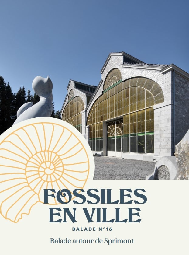 Image illustrant : Fossiles en Ville