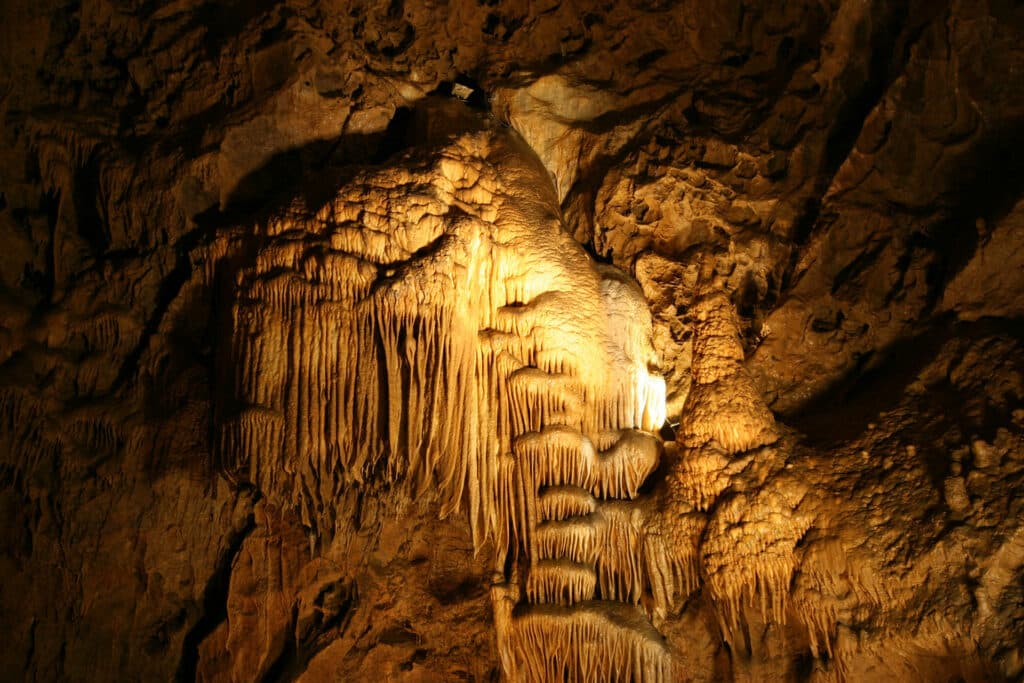Image de la galerie