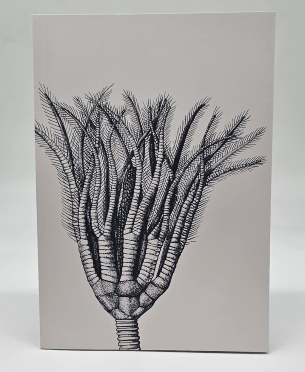 Image illustrant : Carnet A5 Crinoïde – 4,50€